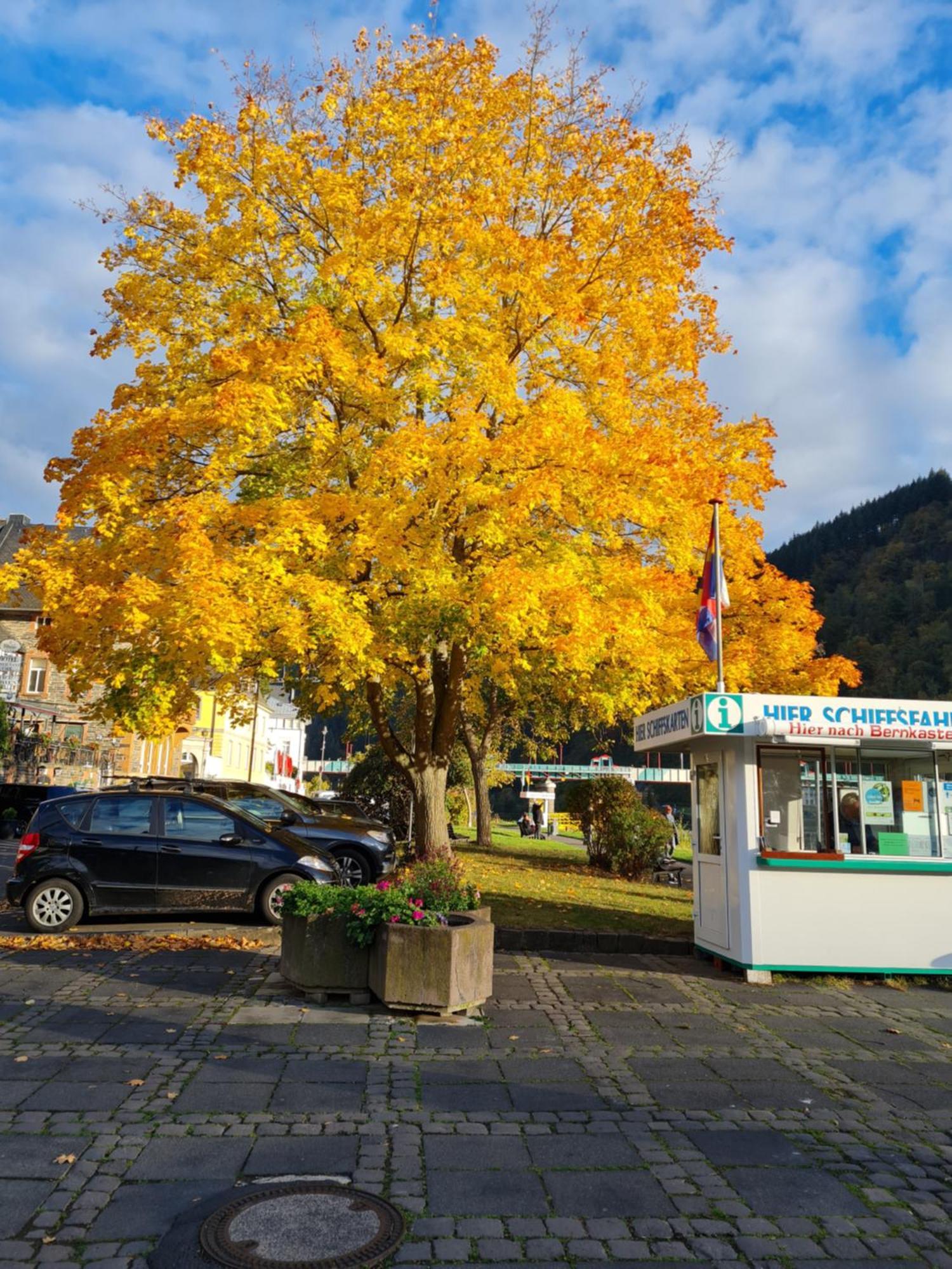 Ferienhaus Take It Easy Vila Traben-Trarbach Exterior foto